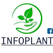 Logo de Infoplant