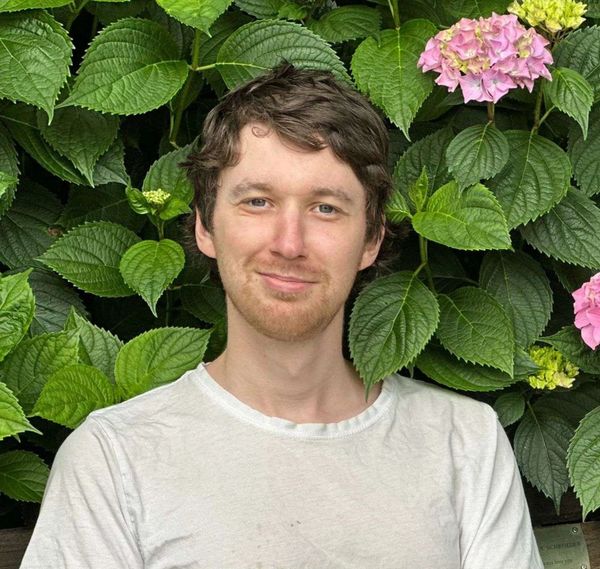 Photo of David Gaze counsellor in Christchurch