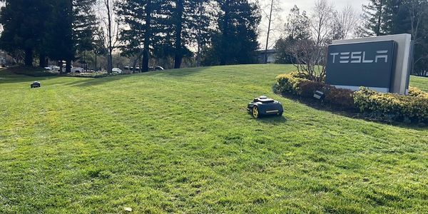 nexmow-robot-lawn-mowers-tesla