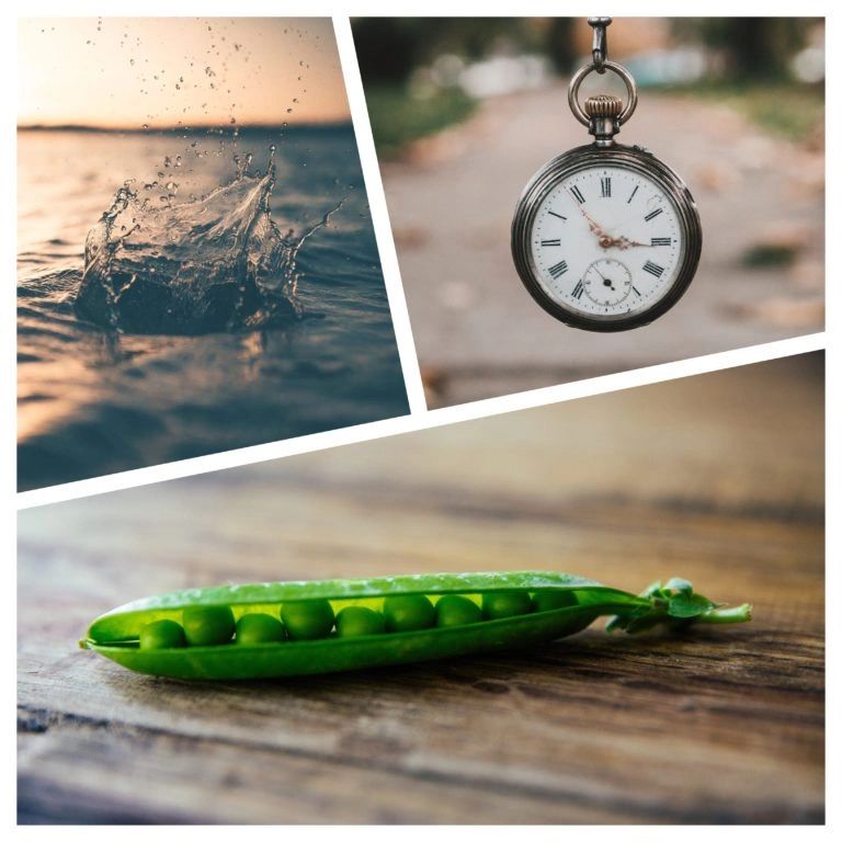 Golden Hour Principles in Serious Collision Investigation