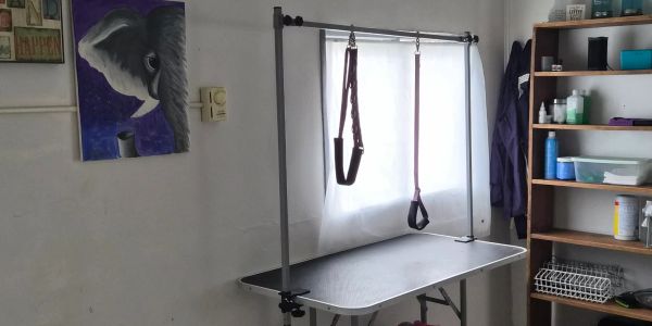 Exercise or therapy equipment near a window and shelf.