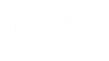 Ch Unlimited Ventures