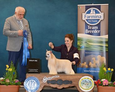 A dog winning a group one award at a dog show with its handler and judge.
