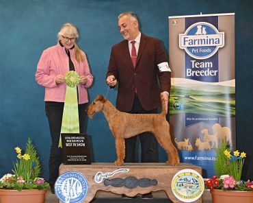 A dog winning an award at a dog show with two people and a banner.