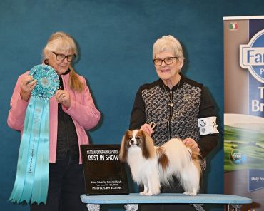 Two women proudly present a Best in Show Papillon dog at a dog competition.