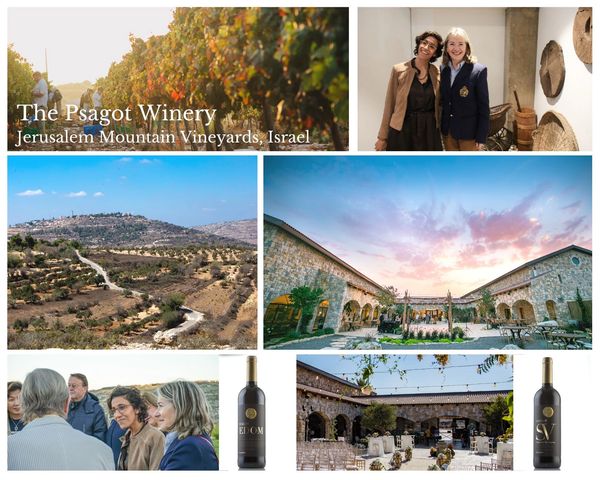 Yaakov and Naama Berg, Psagot Winery, Israel | America's Roundtable: Natasha Srdoc | Joel Anand Samy