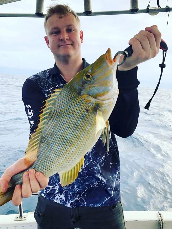 Reef fishing charters in Australia