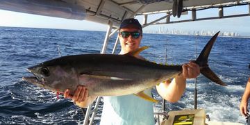 Tuna Gold coast