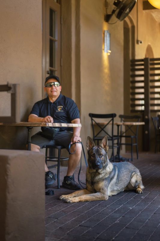Dog calm in a crowded public setting