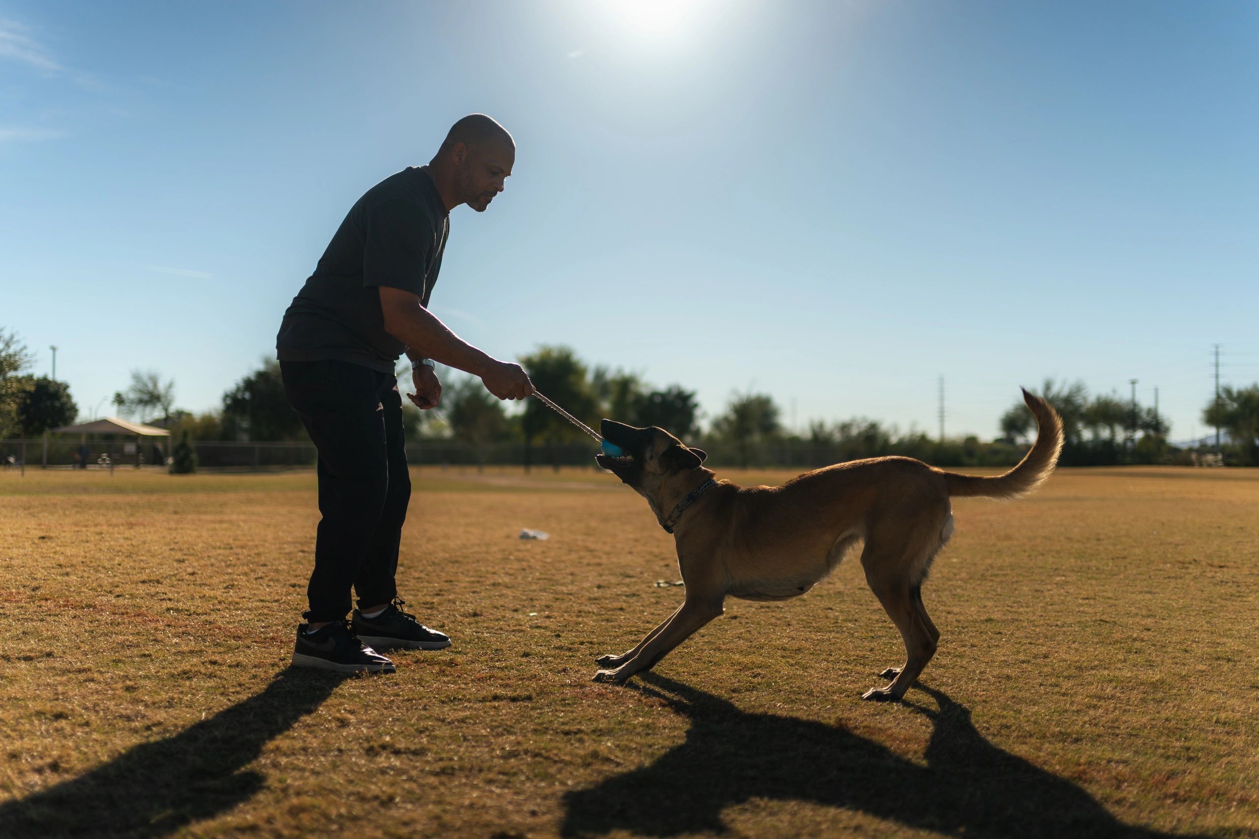 Off-leash obedience at a distance