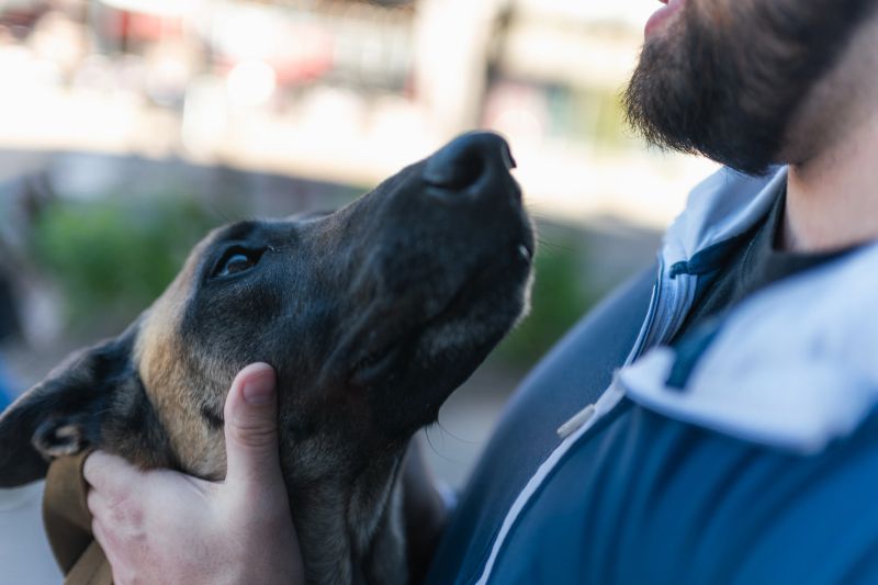 Delivery day photo: trainer handing leash to new owner