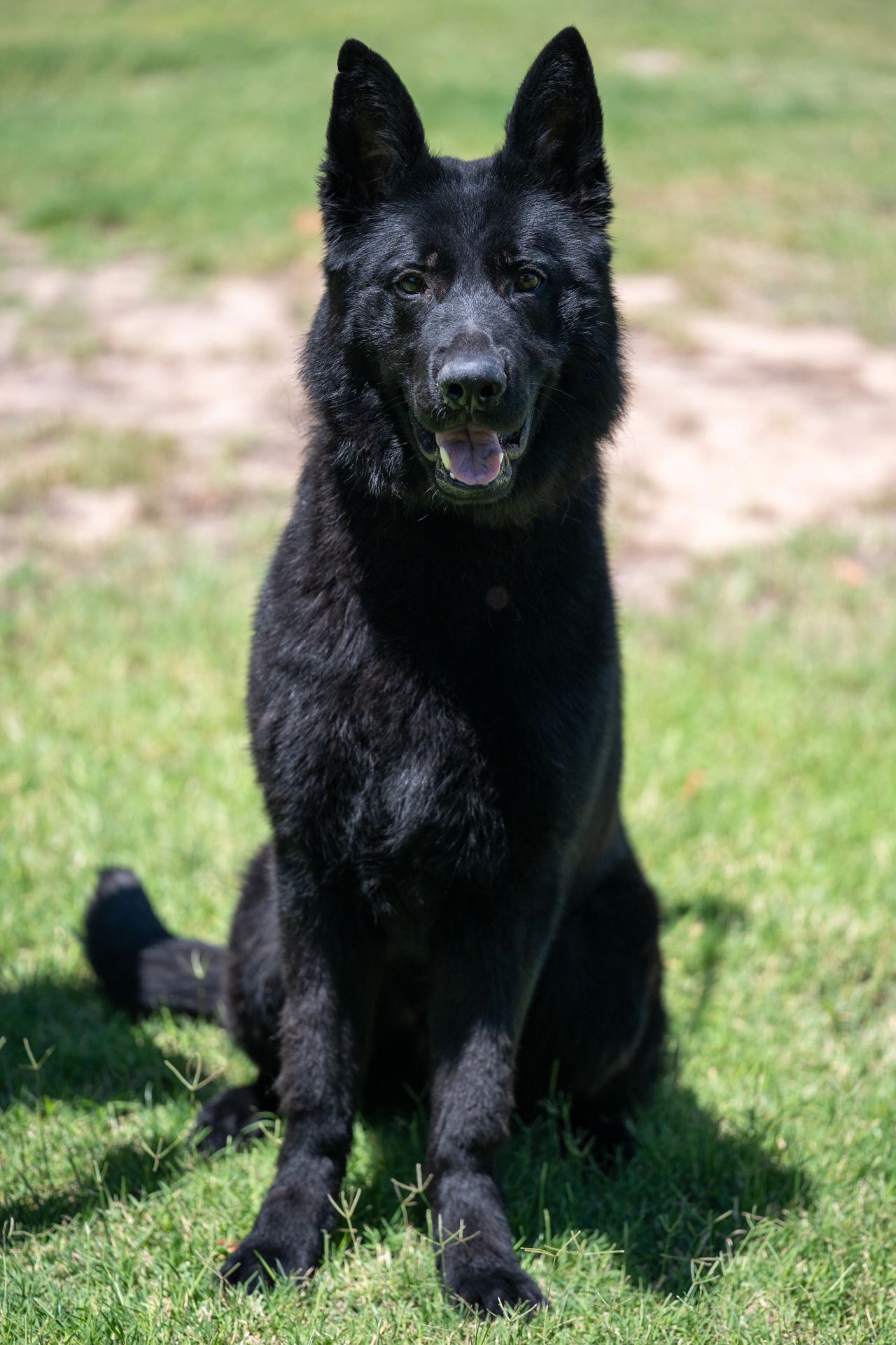 Kane photo 1