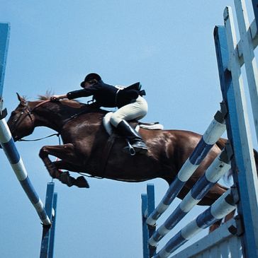 A rider and horse mid-air over a blue and white jump in equestrian show jumping.