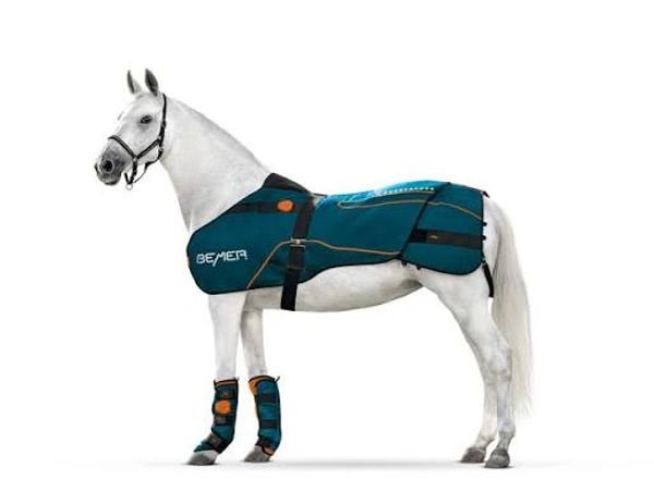 White horse wearing a teal therapeutic horse blanket and leg wraps.