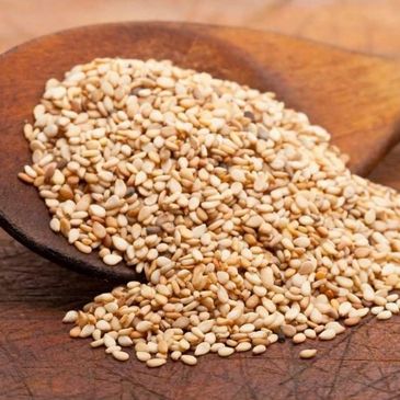 Wooden spoon full of dry roasted Sesame seeds