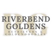 Riverbend Goldens