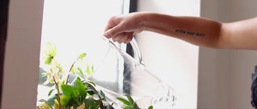 Person watering plants near a window.