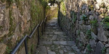 Stone pathway between moss-covered stone walls with handrails.