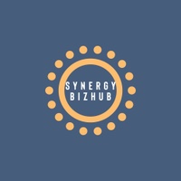 Synergy Biz Hub