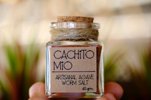 Artisanal Agave Worm Salt / Sal Artesanal de Gusano de Maguey