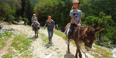 Donkey Trekking Kefalonia Island