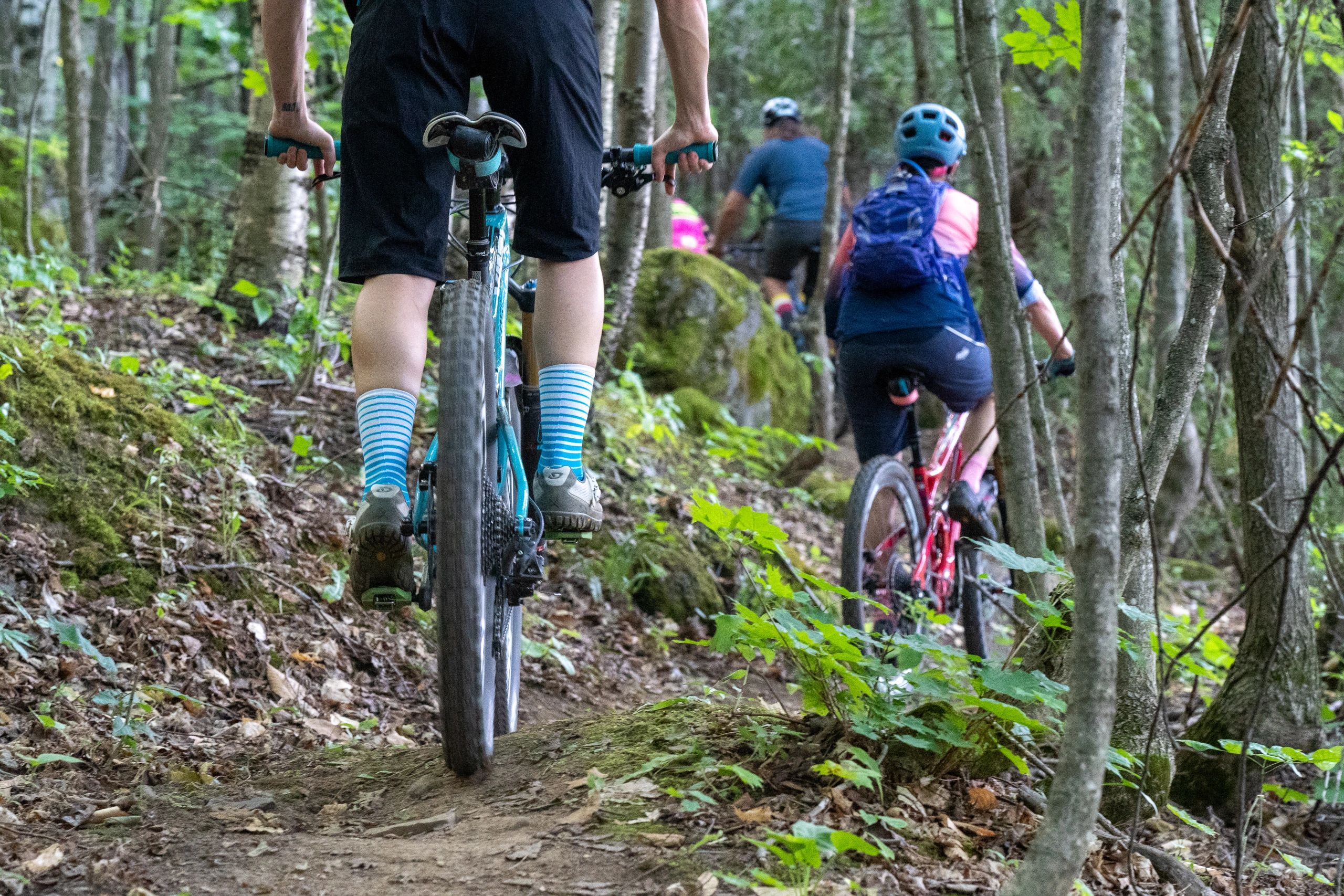 Cyclists riding mountain bikes on a forest trail.