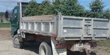 Truck loaded with evergreen trees ready for transport.