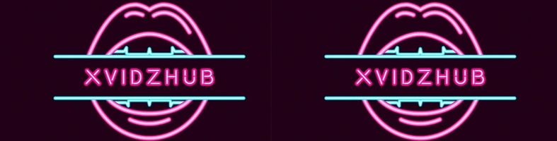 xvidzhub