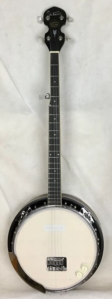 Electric banjo