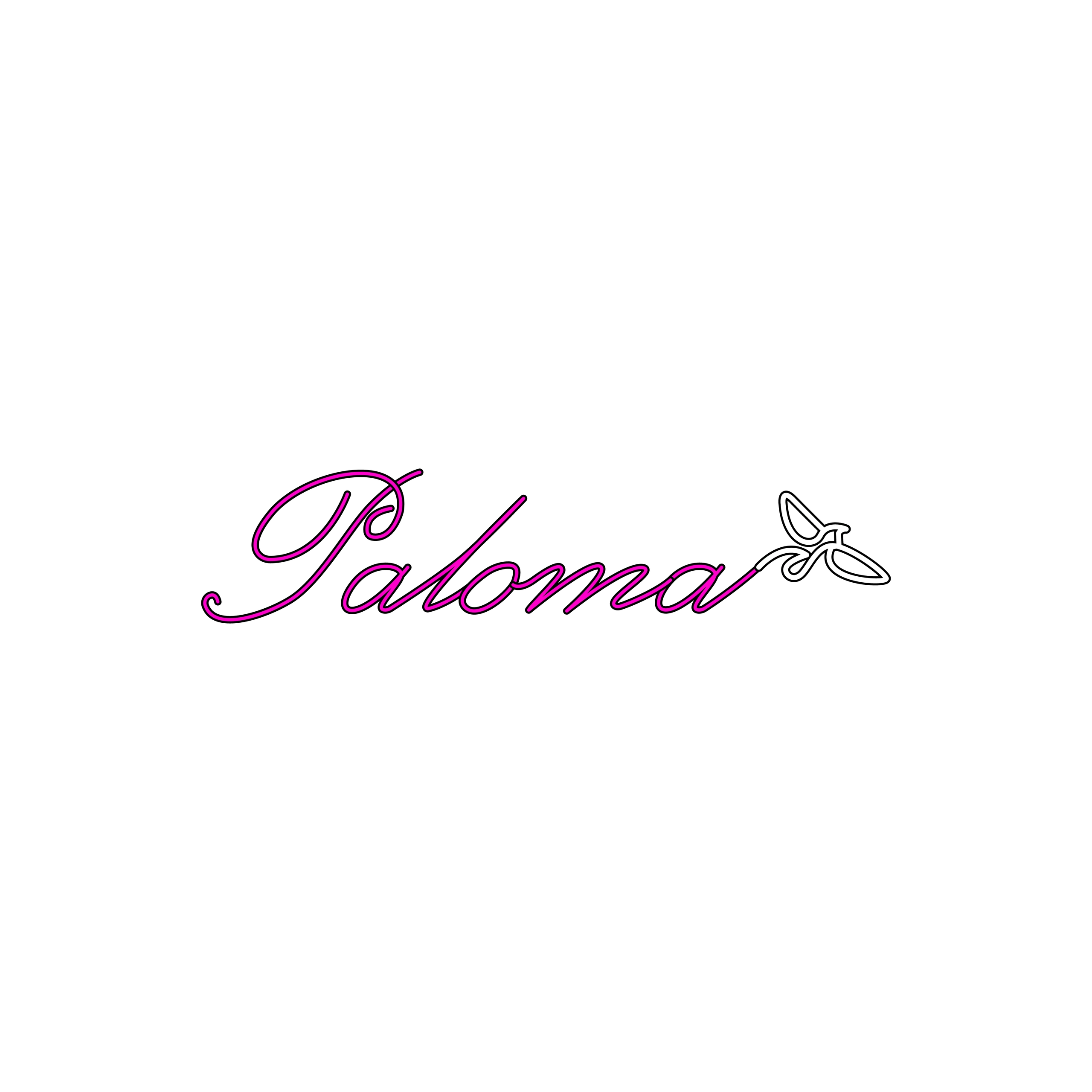 Paloma' Deli in Boston