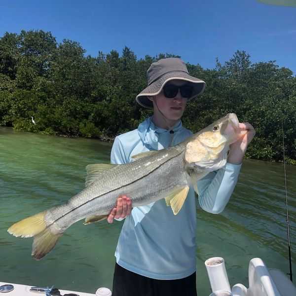 snook fishing in st pete florida