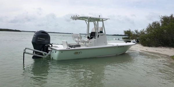 seahunt bx22br fishing tampa bay