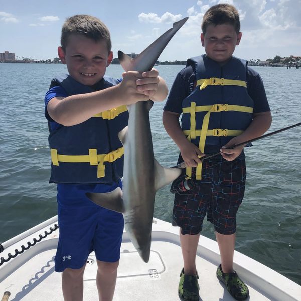 shark fishing st pete beach