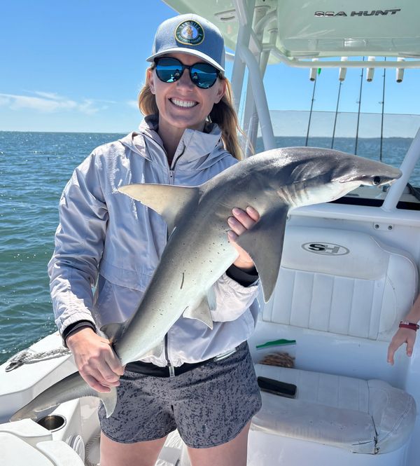 shark fishing tampa bay charter