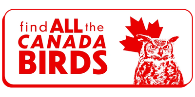 Logo for finding all Canada birds featuring a red owl and maple leaf.