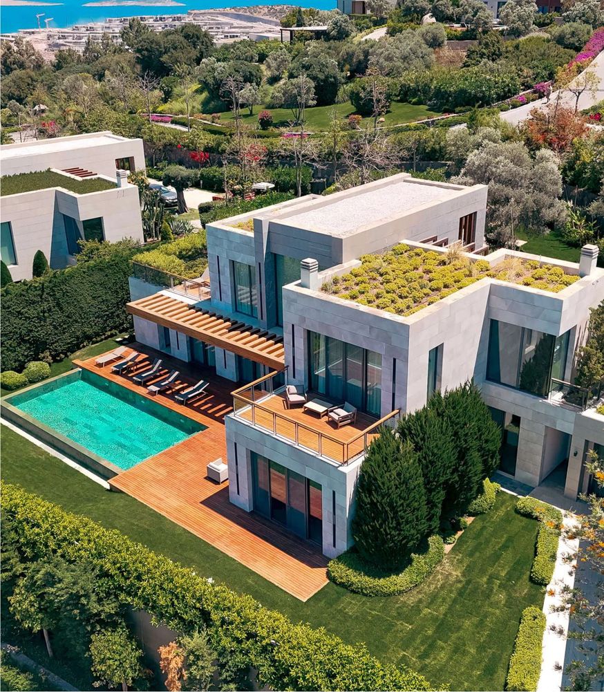 Modern villa with rooftop garden and pool in lush surroundings.