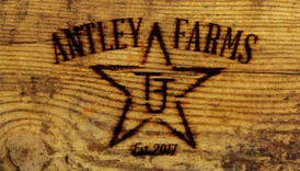 Antley Farms