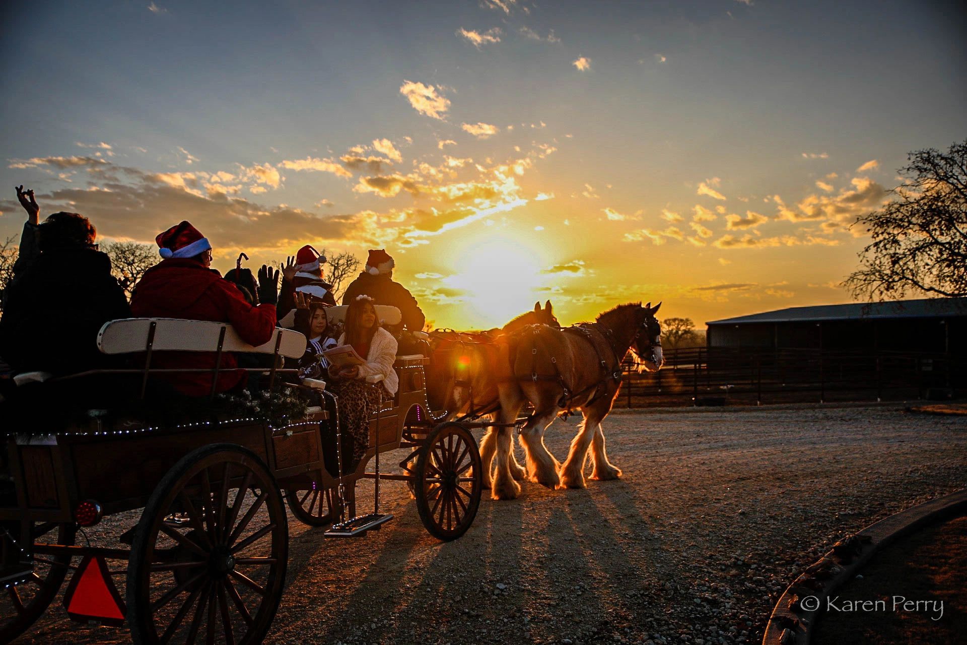 Morning Star Ranch Equine Facilitated Learning Dublin, Texas