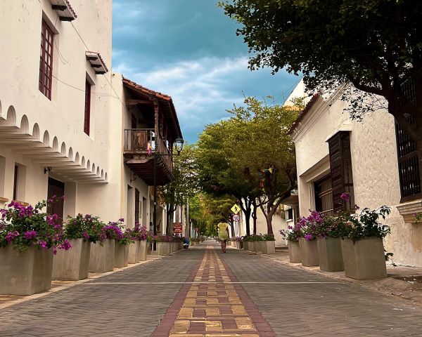 Quiet street with white buildings, trees, and purple flowers in planters under a cloudy sky.