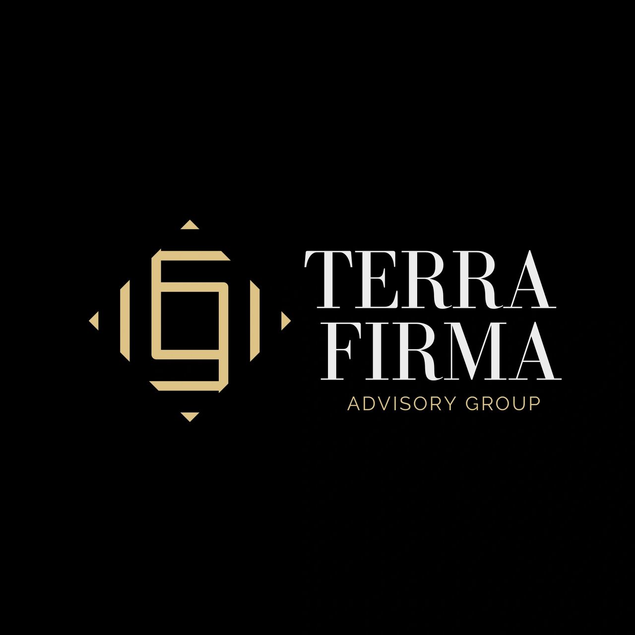 Terra Firma Texas LLC