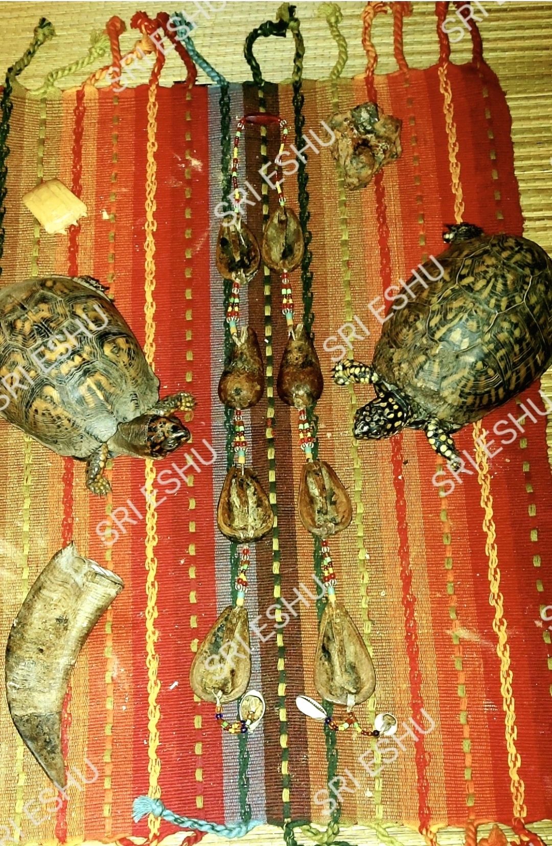 Ifa Divination at the Voodoo Kundalini Temple