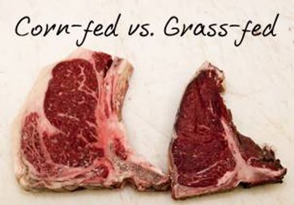 Comparison of corn-fed and grass-fed beef cuts showing different marbling.