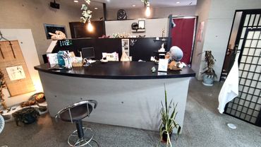 Reception desk area with a swivel chair and decorative items.