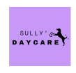 Sully's Doggy Daycare