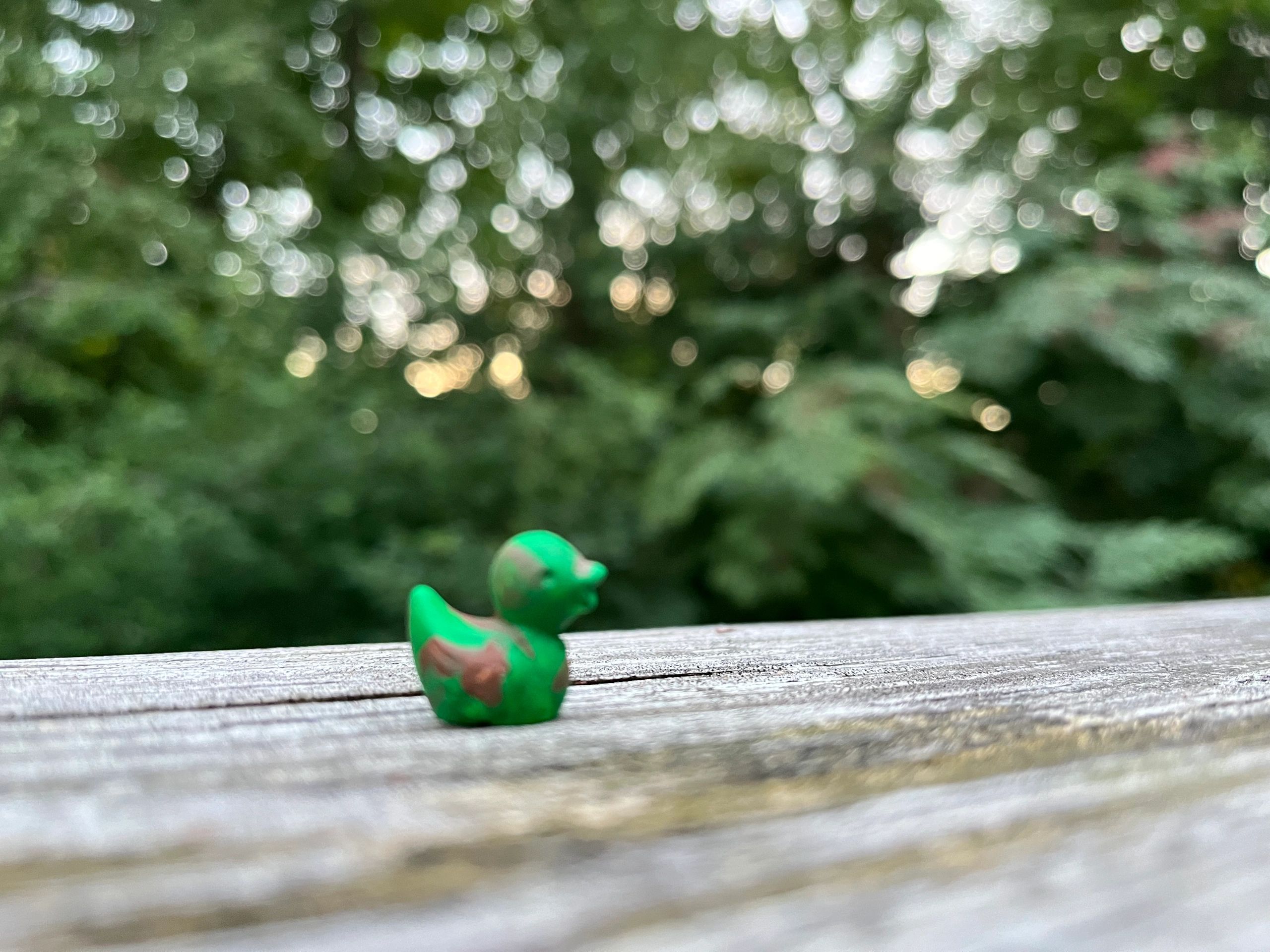 A small green toy duck on a wooden surface with a blurred green background.