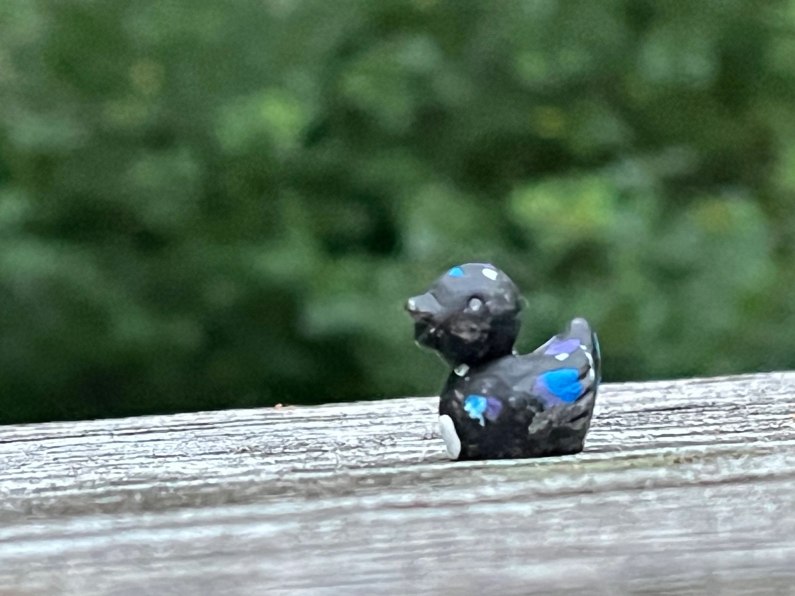 Small black duck figurine on wooden surface.