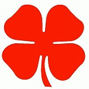 Red Clover Guitars