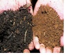 Soil Carbon