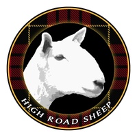 




High Road Sheep
