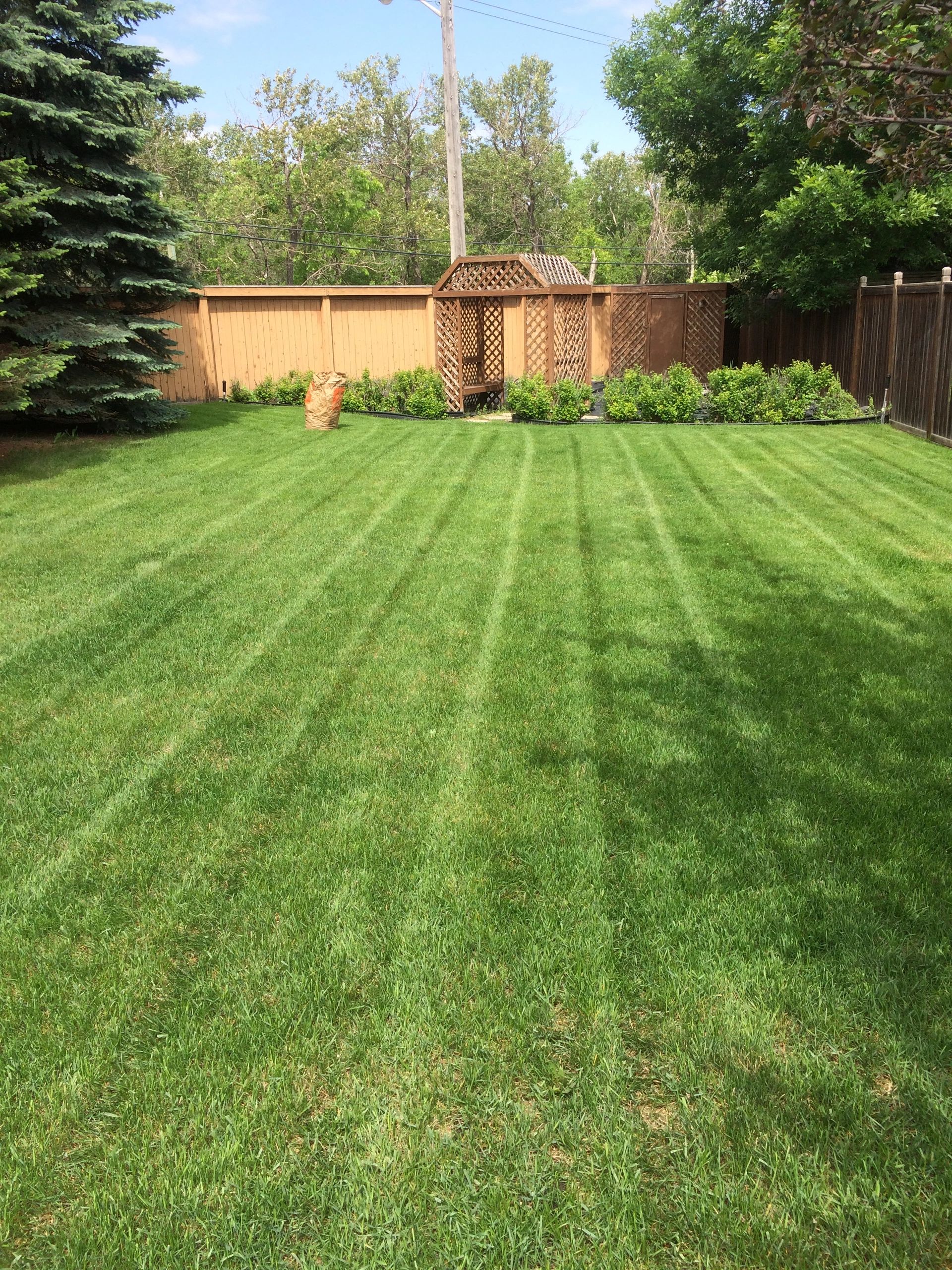 yard-care-winnipeg-quality-lawn-care-services